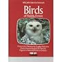 Birds of Field and Forest de Peter Wood