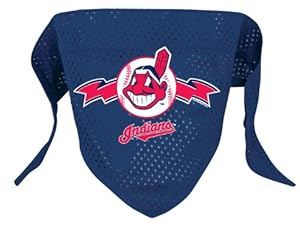 Hunter MFG Cleveland Indians Mesh Dog Bandana, Large