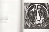 The sign of the tree : meditations in images & words
