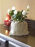 Christmas Rose
