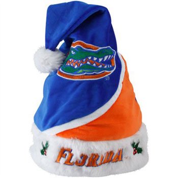 Florida Gators 2010 Colorblock Plush Swoop Santa Hat (Quantity of 1)