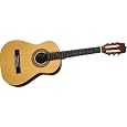 Jasmine by Takamine JS341 Acoustic Guitar Pack