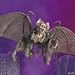 22 INCH - DELUXE CREEPY HANGING SKULL BAT! HALLOWEEN DECOR SPECIAL!