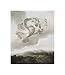 Flora, the Roman Goddess of Flowers, 1799-1807 by Dr. Robert John Thornton poster print,12.2 in. x 1