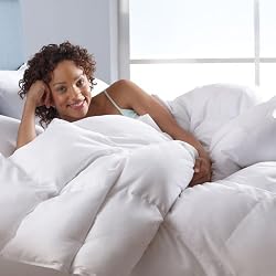 Cheap Better than Down All-Season Comforter
