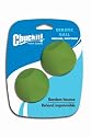 Chuckit! Erratic Ball Medium 2.5-inch, 2 pack