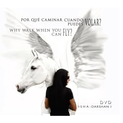 why walk if you can fly?