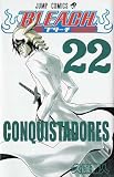 Bleach, Volume 22 (in Japanese)