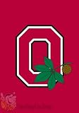 Ohio State Buckeyes New Decorative Mini Garden Flag