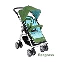 Bumbleride Flyer Stroller - Seagrass