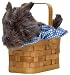 Doggie Basket Handbag