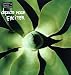 Exciter [12 inch Analog]
