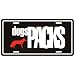 New  White German Shepherd Dog Dogs Packs  License Plate Dog