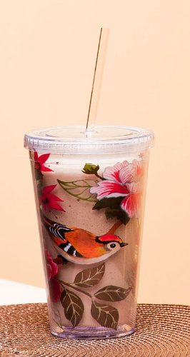 Cypress Home 17-Ounce Insulated Cup With Lid and Straw, Bird Study