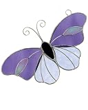 Purple Butterfly
