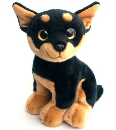 image link -  - B001N0SGP2