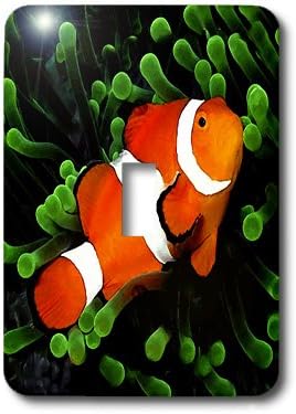 lsp_621_1 Tropical Fish - Clown Anemone Fish - Light Switch Covers - single toggle switch