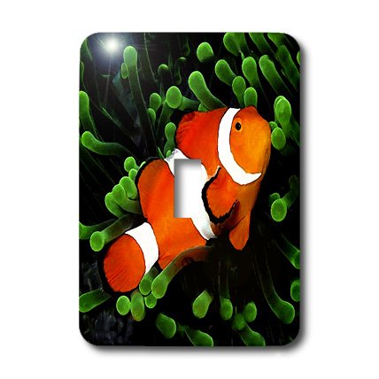 lsp_621_1 Tropical Fish - Clown Anemone Fish - Light Switch Covers - single toggle switch