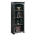 Antique Black Bookcase