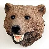 Grizzly Bear Magnet