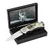 Sporting Goods : WOLF LOCKBACK KNIFE WITH BOX