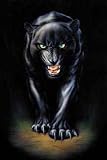 Stalking Panther - 24x36 - ART PRINT / POSTER