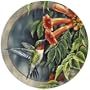 Set of 4 Sandstone Coasters - Hummingbird and Trumpet Vine