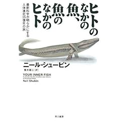 【クリックで詳細表示】ヒトのなかの魚、魚のなかのヒト―最新科学が明らかにする人体進化35億年の旅 [単行本]