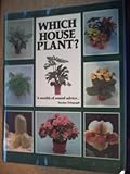 Which house plant?