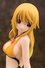 シャルロット・デュノア 水着ver. (1/7スケール PVC製塗装済み完成品)