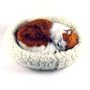 Turkish Van Cat - Pet Mate / Nap Breathing Life Like Sleeping Kitten w / Bed