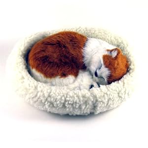 Turkish Van Cat - Pet Mate Nap Breathing Life Like Sleeping Kitten w Bed by