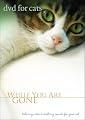 DVD For Cats: While You Are Gone