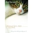 Buy Best Catnip DVD For Cats While You Are Gone