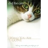 DVD For Cats: While You Are Gone