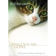 DVD For Cats: While You Are Gone