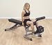 Body-Solid Optional Leg Developer Station-6 Roller (GLDA3)