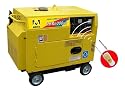 6000 Watt Diesel Generator W/ Remote Control