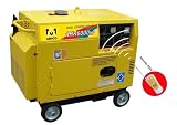 6000 Watt Diesel Generator W/ Remote Control