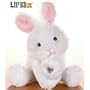 Webkinz - Rabbit - Small