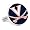 Virginia Cavaliers