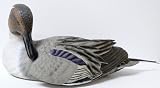 Pintail Decoy Sculpture