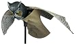 Edge by Expedite Prowler Owl
