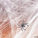 - Halloween Spider Webs & Webbing + Spiders - Full 12 Pack