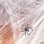 - Halloween Spider Webs & Webbing + Spiders - Full 12 Pack