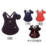 ミズノ 少年軟式用プロテクター(Sサイズ) 2YA609