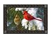 Cardinals in Snow Winter Indoor Outdoor Mat