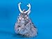 SS-R1801GY, Jackalope - Medium Sitting W/2 Feet Up