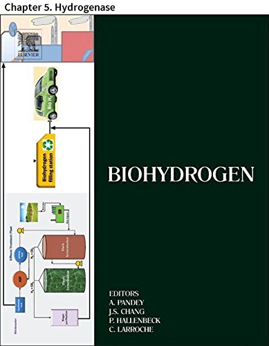 Biohydrogen: Chapter 5. Hydrogenase