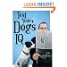 Test Your Dog's IQ